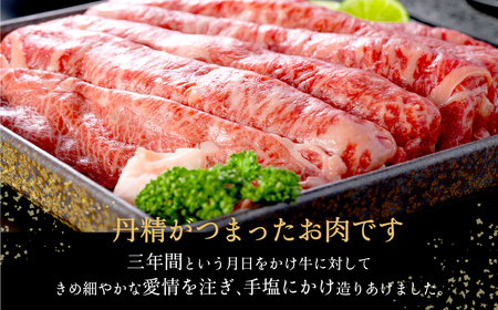 神戸牛 うす切り・切り落とし肉 合計900g 【肩・もも肉 500g+牛肉切り落とし 400g 】/ 訳あり牛肉 切り落とし すき焼き すき焼き肉 しゃぶしゃぶ 肉 食べ比べ 焼肉 赤身 黒毛和牛 TYS3 神戸ビーフ 太田牧場【但馬牛太田家】