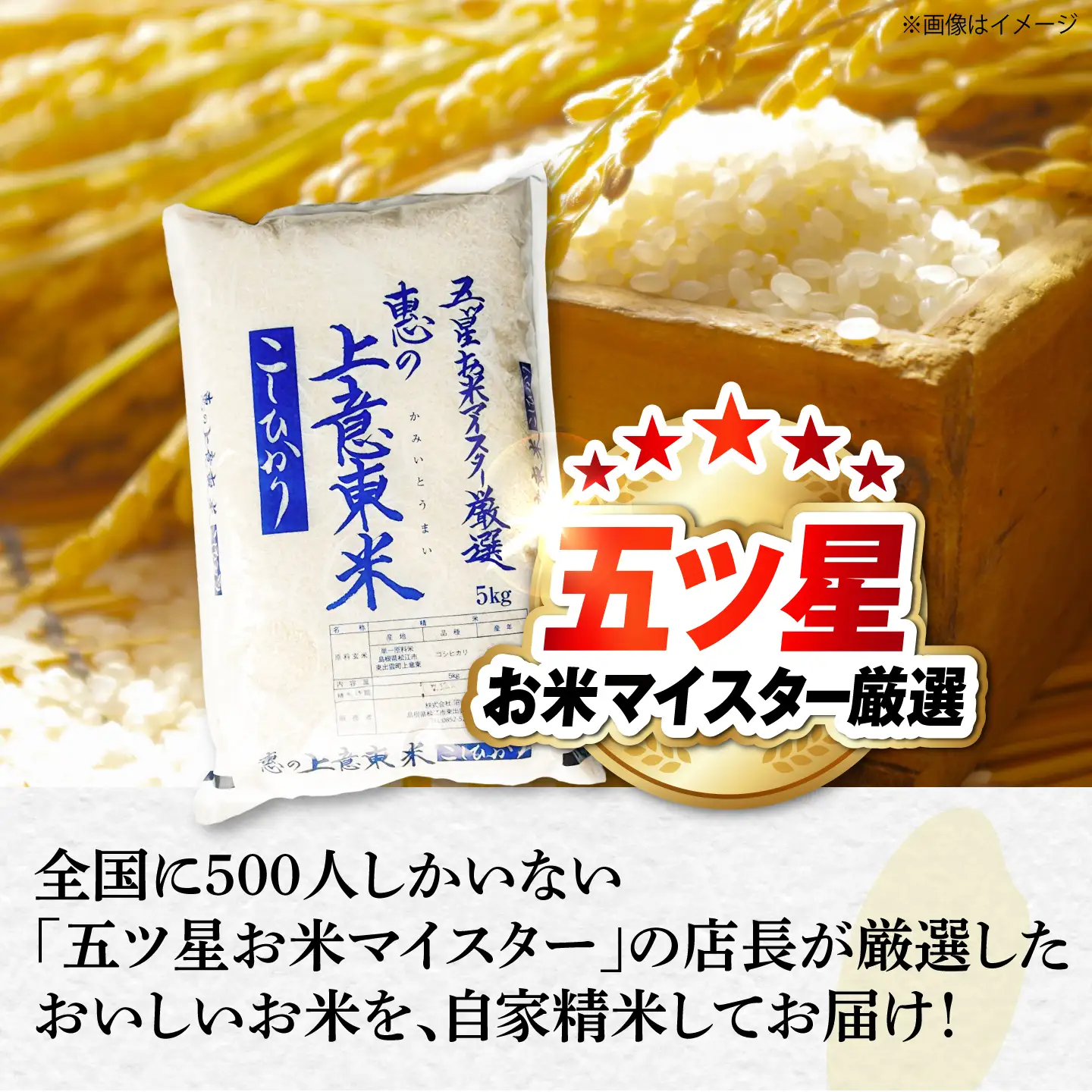 白米 コシヒカリ計7㎏ [ALBU006] 白米