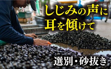 しじみ 砂抜き済 Mサイズ800g×6袋(4.8kg) 島根県松江市/しじみ市場株式会社[ALDK001] しじみ しじみ