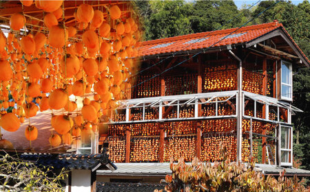 柿  【ふるさと納税限定】【数量限定20箱】東出雲のまる畑ほし柿×15個入 島根県松江市/畑ほし柿生産組合[ALBV003] 柿 柿