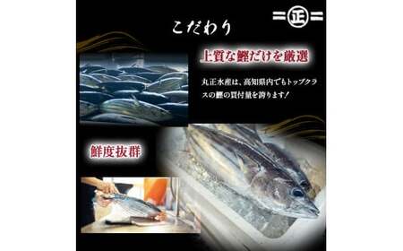 鮮度抜群！ 魚市場直送 藁焼き カツオのタタキ たっぷり6-8人前(800g以上) カツオ 鰹 ／ Ems-02