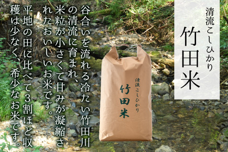 【先行予約・令和8年産新米】 清流こしひかり 竹田米 10kg （白米） 【2026年9月下旬以降順次発送予定】 【米 お米 こめ 精米 コシヒカリ ブランド米 ふるさと納税米 産地直送】 [C-7401_01]