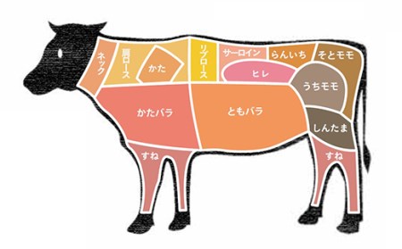 FYN9-558 【事業者支援】山形県産 黒毛和牛 ≪４等級以上≫ 山形牛 切り落とし 約600g 牛肉