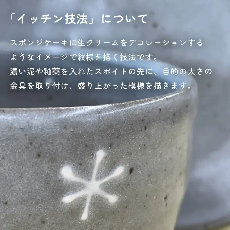 【越前焼】風来窯 雪イッチン紋  皿とカップ 【 陶器 食器  湯呑 福井県 伝統工芸品 】 [e25-b016]