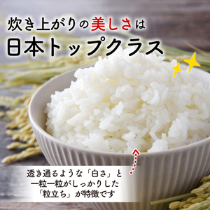 2ヶ月定期便 米 5kg 銀河のしずく 米