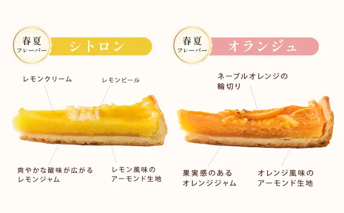 【アンリ・シャルパンティエ】タルト・フリュイ・アソート L （秋冬）（西宮市・芦屋市共通返礼品）