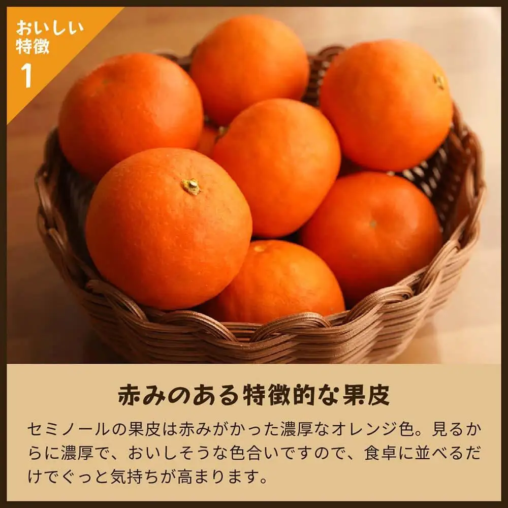 セミノール（みかん）5kg家庭用｜和歌山県海南市下津町で育てた高級オレンジを産地直送でお届け【2027年4月発送開始】