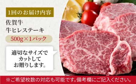 【12回定期便】佐賀牛 ヒレステーキ 500g / ヒレステーキ [IAG119]