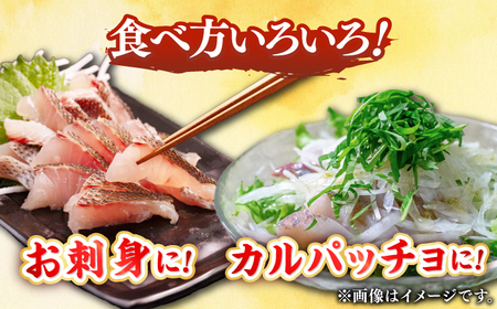【全6回定期便】 【勝本漁港直送】壱岐島の刺身盛りセット ≪壱岐市≫【あかりや】 冷凍配送 刺身 小分け 産地直送 お刺身 刺し身 寿司 海鮮 [JFO007]
