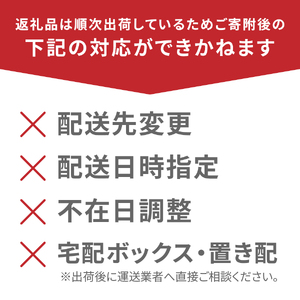 強炭酸水 【最短3日】VOX バナジウム 1000ml 15本(ストレート)   炭酸