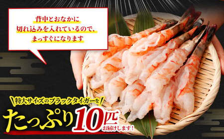 特大 ブラックタイガー 殻なし ビッグサイズ （10匹） 【入金確認後7営業日程度で発送】｜ エビ えび 海老 ブラックタイガー むきえび むきエビ 冷凍