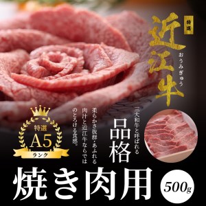 A5ランク 特選近江牛 焼き肉用 500g入 特選 近江牛 A5ランク 500g 霜降り 焼肉用  CY-0005