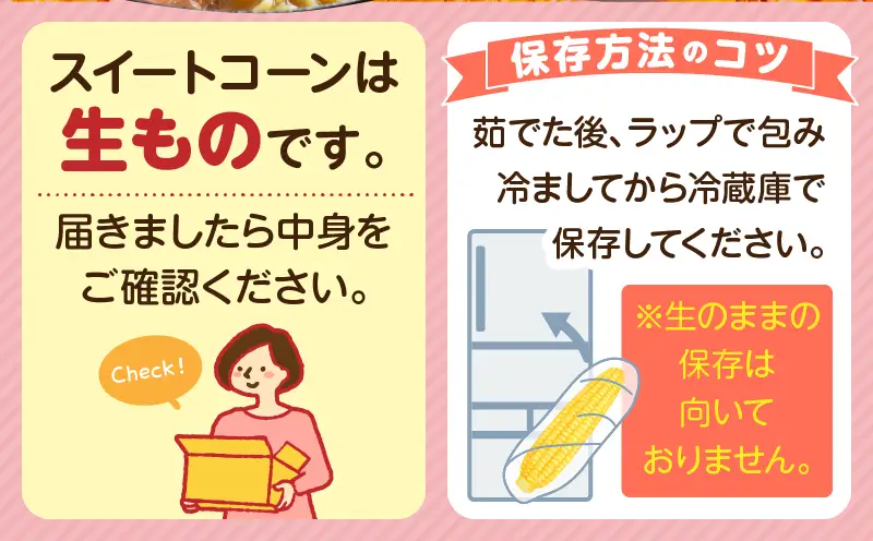 宮崎県産 スイートコーン 約9kg（約4.5kg×2箱）