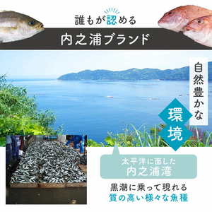 【D09002】【3回定期便】魚屋さんの選んだ新鮮お魚詰め合わせ(約6～8人分) 鹿児島 国産 九州産 産直 産地直送 鮮魚 新鮮 魚 海産物 お刺身 煮つけ 焼き魚【マルケイ水産】
