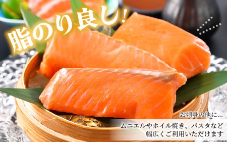 お刺身サーモン 計300g（100g×3P）鮮度バツグン下処理済サーモン！【サーモン 冷凍サーモン 刺身サーモン サーモン サーモン】 [e04-a080]
