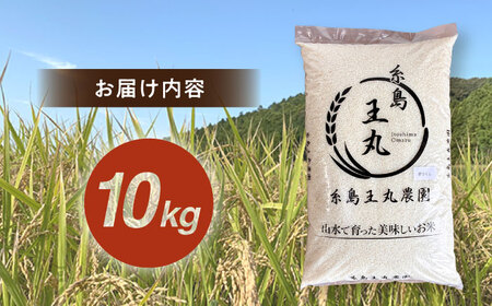 糸島産 夢つくし 10kg　糸島市 / 糸島王丸農園 ( 谷口汰一 ) /いとしまごころ [AAZ005]