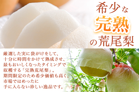 【先行予約】目野果実直売所 荒尾梨 約2-2.5kg(5～10玉前後)  期間限定 熊本県 荒尾市産 なし フルーツ 果物 新鮮 《7月下旬-10月上旬頃出荷》 美味しい梨 旬の梨 ジューシー梨 フルーツ梨