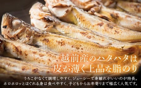 越前産 干しはたはた（3～4尾）× 9パック 完全無添加！越前塩のみで仕上げた一塩干し！【無添加 干物 海鮮 冷凍 個包装】 [e04-a107]