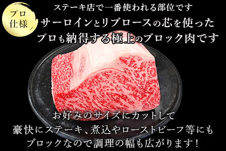 《プロシリーズ》佐賀牛 最上位部位ロースブロック500g 牛肉 ステーキ ローストビーフ かたまり ギフト 黒毛和牛 すき焼き しゃぶしゃぶ 希少部位 焼肉 自宅 BBQ アウトドア