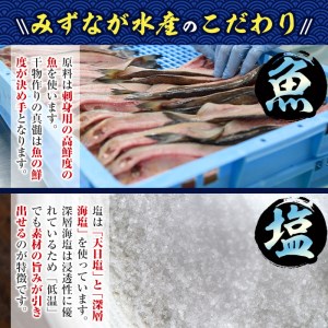 ソフトさきいか(計約600g・100g×6P)干物  海産物 常温 【E-26】【水永水産】