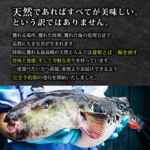 数量限定！豊後水道 天然とらふぐ 特別便 (約5人前) ふぐ フグ とらふぐ ヒレ 皮 アラ てっちり鍋 鍋 ふぐ唐揚げ ふぐ刺し フグ刺し 刺身 鮮魚 冷蔵 国産【AB104】【柳井商店】