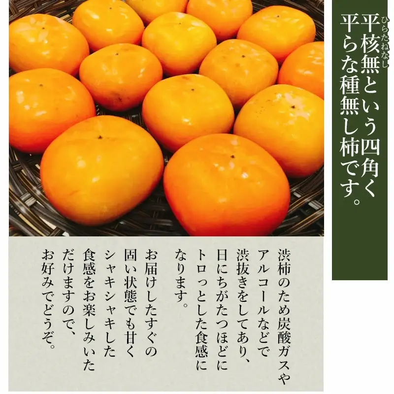 【令和8年産先行予約】 庄内柿 秀品 (L～4Lサイズ)  約10kg (5kg×2箱) (50～62個)　山形県鶴岡市産　株式会社 元青果