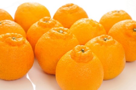 【大人気】和歌山有田の濃厚デコポン　15～24玉(約5kg)※2027/1/25～3/31（順次発送予定）【ard005C】