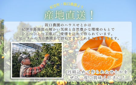 【先行予約】【数量限定】阪口農園のハウスせとか 3kg (2L～3L 9玉～12玉) 【2027年2月中旬~3月中旬までに順次発送】 せとか ハウスせとか みかん ミカン 蜜柑 柑橘 フルーツ 果物 くだもの 旬 産地直送 農家直送【msa001B】