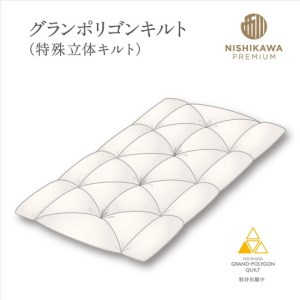 【 nishikawa / 西川 】 羽毛ふとん / ポーリッシュホワイトグースダウン95％ / シングル / 配色 ブルー 【P269W】 羽毛布団 ふとん