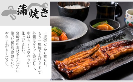 うなぎ 蒲焼 うなぎ[国産 2尾 160g ぶどう山椒付]