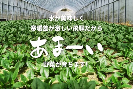 【11月中旬～12月下旬発送】2回定期便 旬の冬野菜定期便 雪国飛騨の美味しい冬野菜セット 3種類以上 大根 キャベツ 赤かぶ ほうれん草 春菊 ブロッコリー さつまいも 白菜 野菜 産地直送[Q1423]