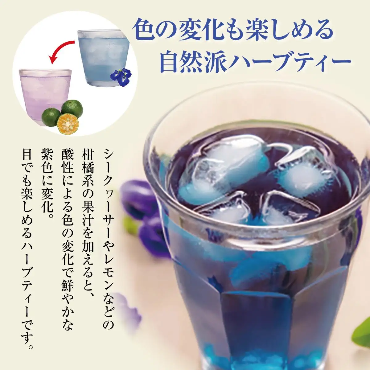 沖縄県産　天然色素青いお茶　バタフライピー・ティー   