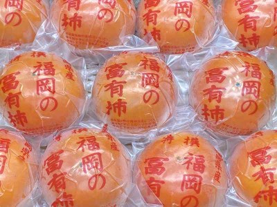 【2026年12月より順次発送】柿の王様 池尻農園 田主丸町の富有柿(冷蔵)2L 16玉入り 約4.2㎏_柿 約 4.2kg 富有柿 2L サイズ 16玉 入り 個包装 柿の王様 甘柿 人気 高い 国産 フルーツ 果物 高品質 天皇への献上品 福岡県 久留米市 田主丸 お取り寄せ お取り寄せフルーツ 冷蔵 生食 食品 食べ物 送料無料 〔Fk106〕