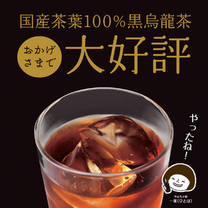 【定期便3か月】静岡県産 黒烏龍茶 500ml × 24本 いなば園 黒烏龍茶