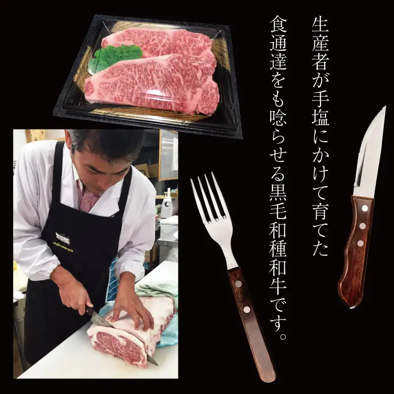 【A5A4等級】博多和牛サーロインステーキ用 約500g(2枚入) 3V1