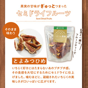 秋王・とよみつひめセミドライフルーツセット_秋王 とよみつひめ セミドライフルーツ セット 30g × 4袋 いちじく 甘い 糖度20度以上 柔らかい 凝縮 無添加 ヨーグルト フルーツティー 紅茶 ブランドフルーツ 国産 お取り寄せ 福岡県 久留米市 送料無料 〔Ca003〕