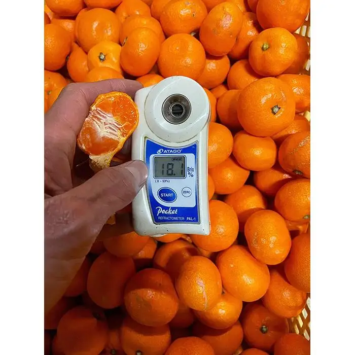 ［先行予約］小粒みかん2kg　高糖度！みかんの里！［SmileFruitみかんキング厳選］2026年10月下旬以降順次発送