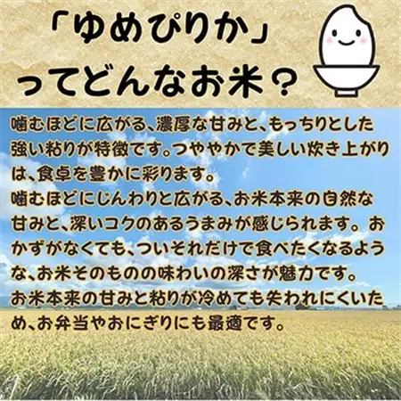 【令和7年産】北海道深川産ゆめぴりか5kg(普通精米)【1296656】