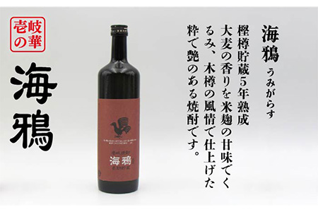 【全6回定期便】海鴉25度とちんぐ25度のセット [JDB187] 96000 96000円