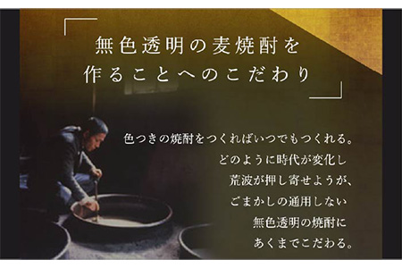 【全6回定期便】隆美焼酎25度と壱岐スーパーゴールド33度のセット [JDB196] 96000 96000円 