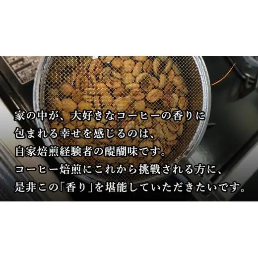 コーヒー 自家焙煎 セット コーヒー豆 200ｇ 2種 × 100ｇ