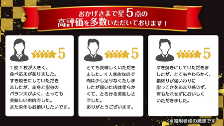 【 常陸牛 】 牛肉 霜降り すきやき しゃぶしゃぶ用 400g (茨城県共通返礼品) [CD002sa]