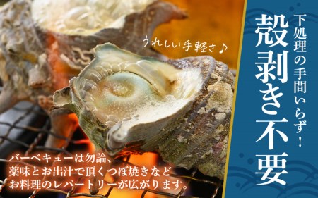 【先行予約】天然 さざえ ボイル済 26～30個入 2kg（500g × 4袋）産地直送でお届け！【2026年6月中旬より順次発送】 【越前町産 栄螺 サザエ 冷凍 小分け 海鮮 BBQ バーベキュー】 [e14-a011]