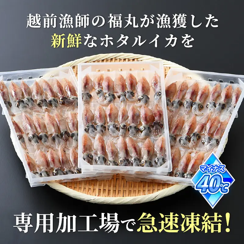 【TVで紹介！】急速冷凍 生 ホタルイカ 21尾入 × 5パック 計約700g（刺身・しゃぶしゃぶ用） 上品な甘みを堪能 [e15-a015]