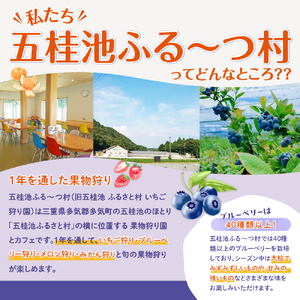 無農薬栽 冷凍完熟ブルーベリー1kg 果物 くだもの フルーツ 完熟 冷凍 ブルーベリー ジャム ピューレー スムージー シロップ 国産 農薬無使用 おいしい ビタミン 食物繊維 ミネラル 三重県 多気町 FR-01
