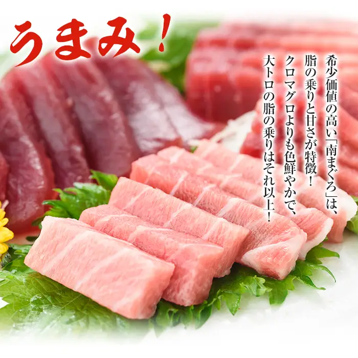 南まぐろの大トロ・中トロセット 南まぐろ刺身用大トロ、上トロ、中トロ各1本（約600g） 希少な天然南まぐろをご家庭で！【00-019-03】