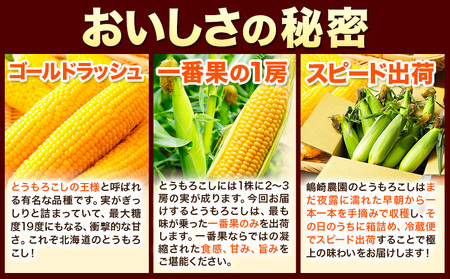 先行予約】朝採りとうもろこし スーパースィート 「ゴールドラッシュ
