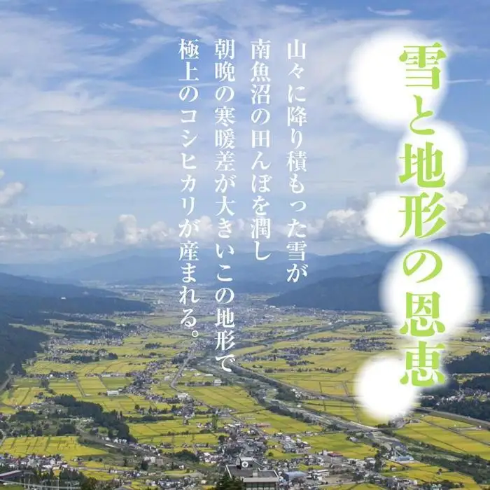 【令和7年産】 【無地熨斗】｜無洗米｜新潟県 南 魚沼産 コシヒカリ お米 2kg ×3袋 計6kg（お米の美味しい炊き方ガイド付き）【銘柄米 ブランド米 無洗米 こしひかり コシヒカリ 魚沼産 新潟米 産地直送 お米 米 こめ ごはん】