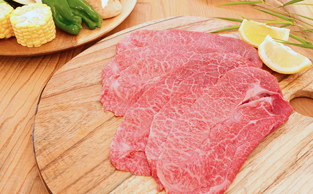 【飛騨牛】海津市産ウデ焼肉オリジナルカット 【配達不可：離島】 お肉 牛肉 焼肉用 バーベキュー ブランド牛 国産 岐阜県産 肩 赤身 サシ 霜降り 濃厚 旨味 脂身が少ない ダイエット おうち焼肉 