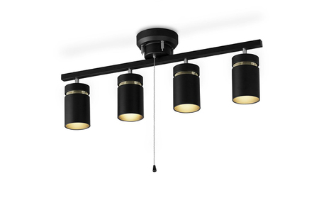 シーリングライト LED 照明 4灯 マットブラック CE4LA-22SS-MB